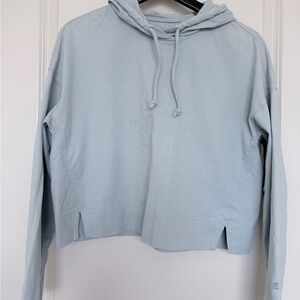 Everlane Organic Cotton Hoodie in Soft Gray